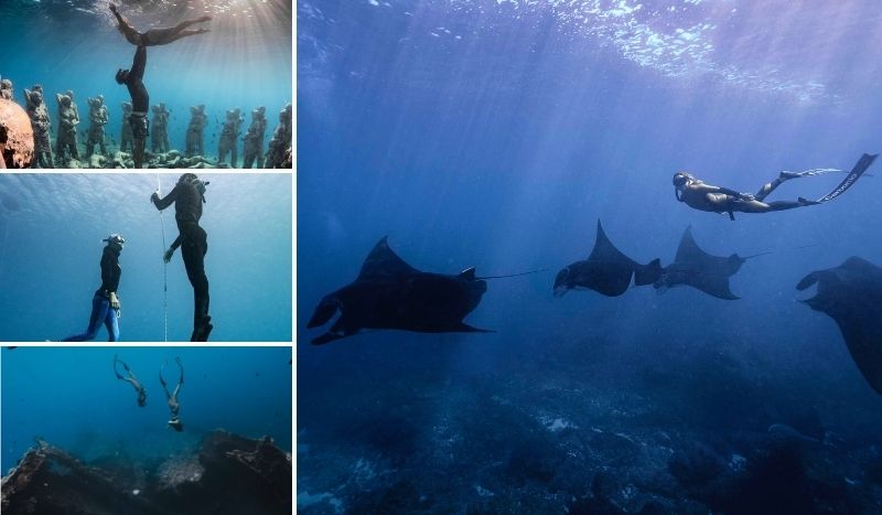 Freediving Course in Bali