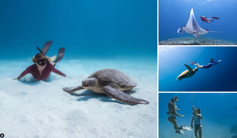 Freediving course Komodo Liveaboard