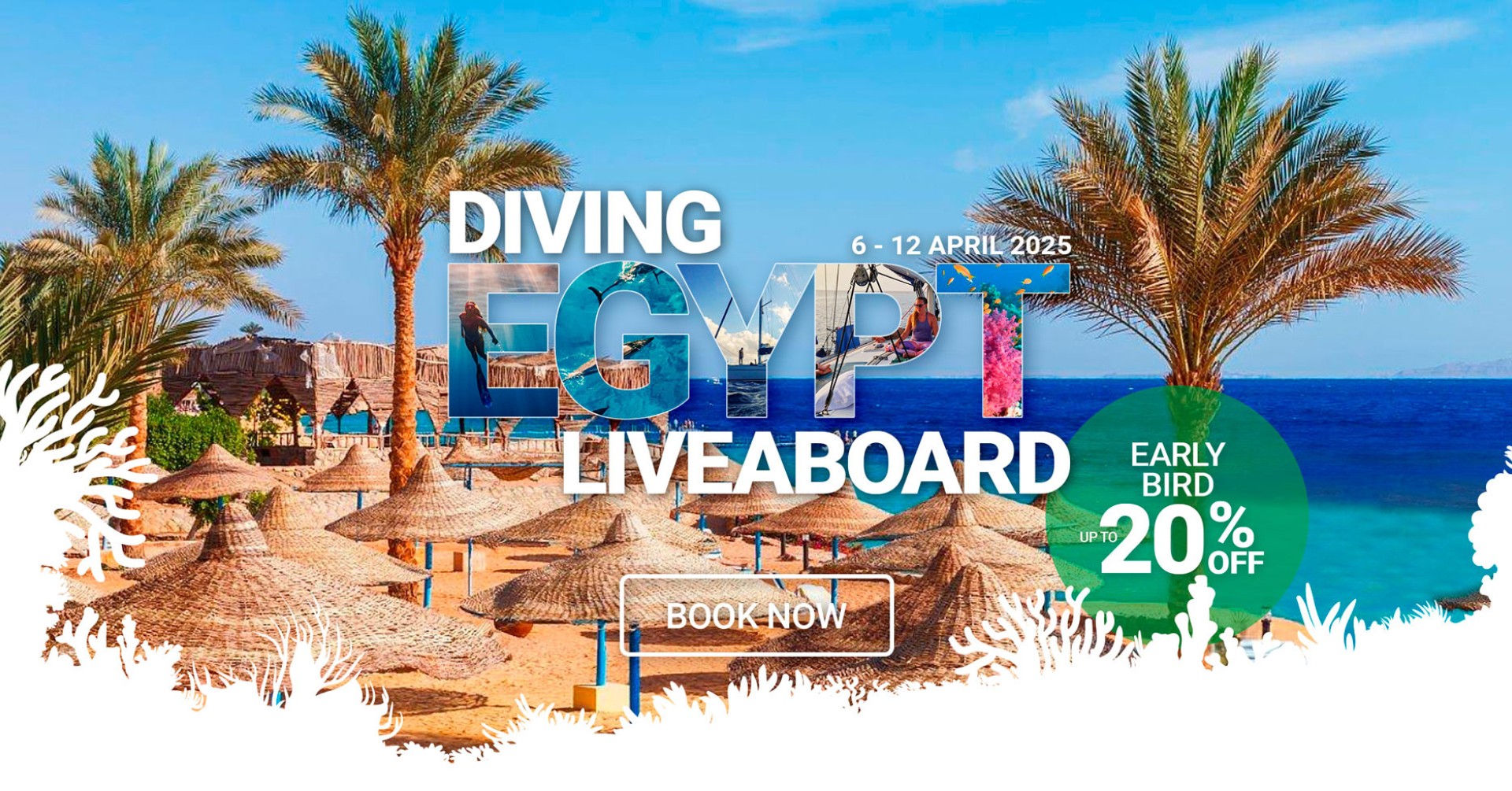 Freediving Red Sea Liveaboard